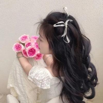 大汉天子2:汉武雄风